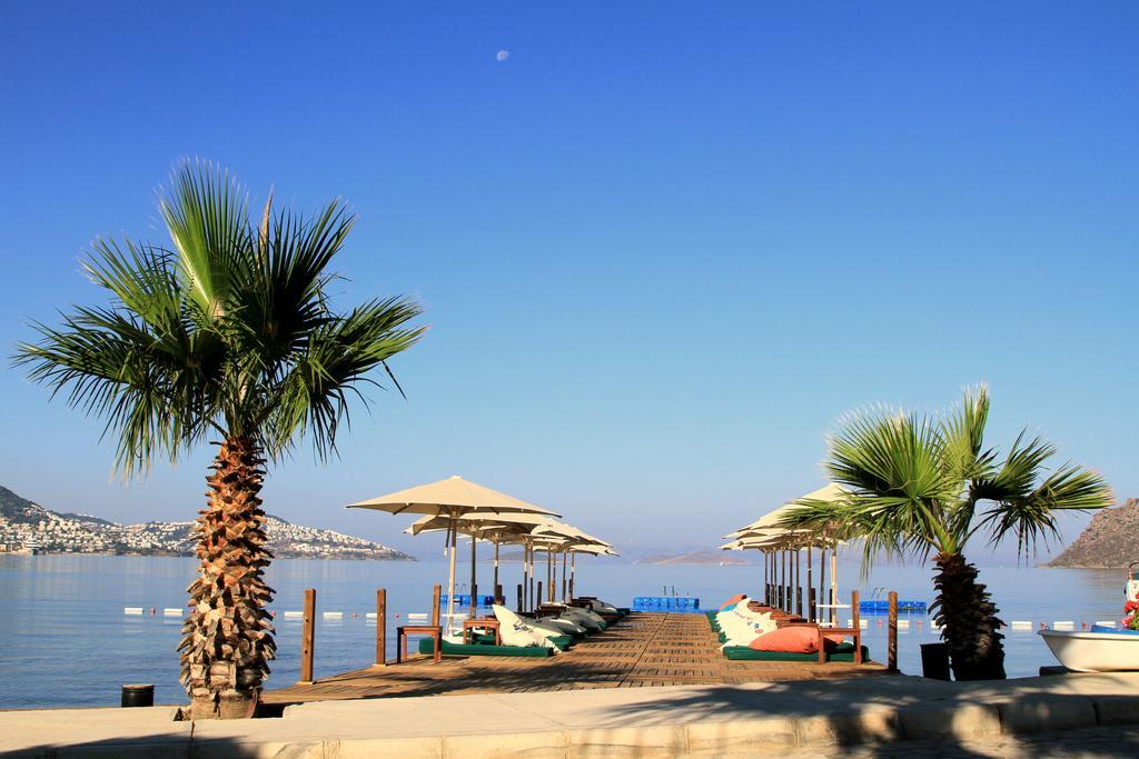 Elite Hotel Bodrum ยาลึคคาวัค ภายนอก รูปภาพ